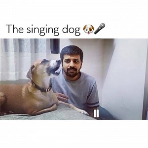 1.9M views · 92K reactions | Dog doesn't need autotune  | Indian Singers | Facebook