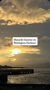 Watch the sunrise with us this morning on Matariki weekend! Featuring a surprise guest… 🦭☀️ Mānawatia a Matariki! Have a safe and happy long weekend from all of us at Wellington Alive. | Wellington Alive