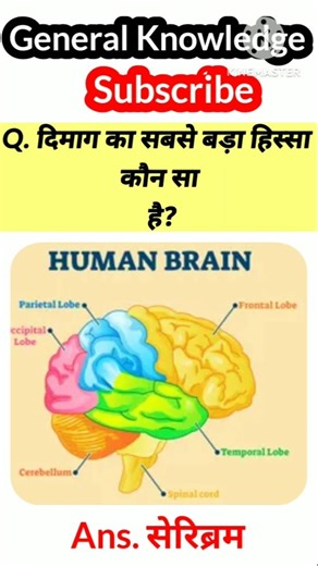 General Knowledge ll#shorts #science_gk #science #best_gk #gk #general #gkquiz #2026short#viralshort