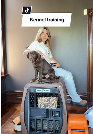 Kennel Training for Puppies: How to Train a Car Kennel