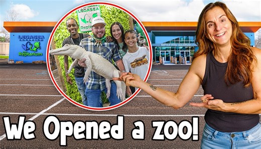 How a private reptile vision became a full zoo in one year