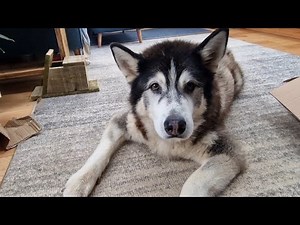 It's Time To Take It All Down Again Now