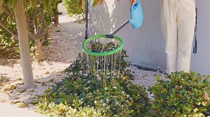 Stop Struggling! These Gardening Tips Make Everything Easier | Green Bean