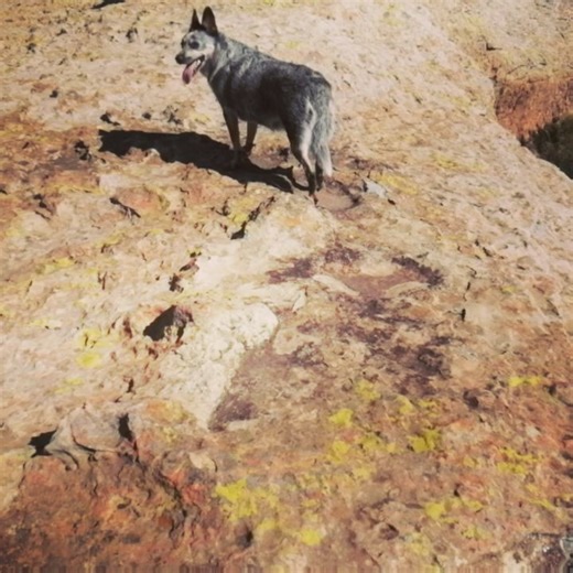 #clarens #daytours #hiking #overnighthikes #hikesclarens #alienadventures | Alien Adventures