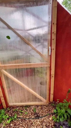 DIY Outdoor Shower Greenhouse Combo by @zachhagy