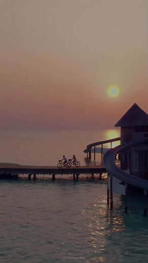 Viva a Vida: Ame Sua Vida e Seja Feliz