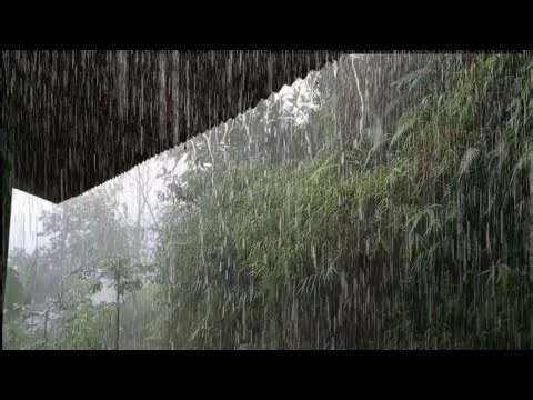 The sound of continuous heavy rain. Calming effects for sleep & mental health, insomnia ASMR