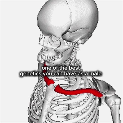 Explorando la genética ideal del cuerpo humano