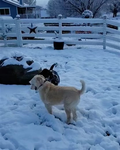 77 reactions | City of Tehachapi, CA Government on Reels | Facebook