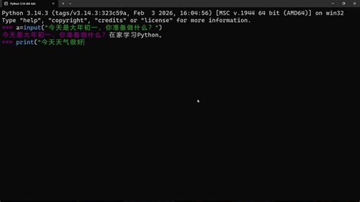 大年初一学Python
