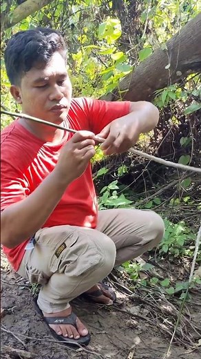 INSTALLING STICKS TO ATTRACT HUMMINGBIRD STICKS