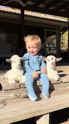 Ni lujo, ni juguetes caros… esto es riqueza 🤎 #vidaenelcampo #infanciafeliz #vidanatural #familiar #recuerdosparasiempre