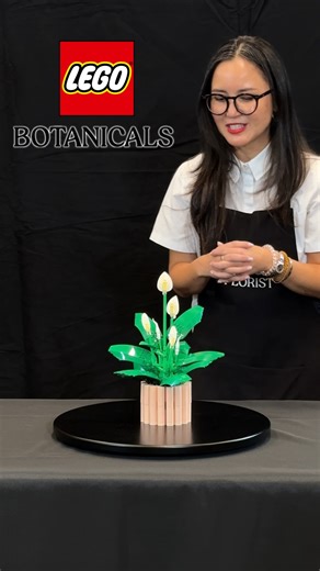 Jean 💫 Fandom Lifestyle on Instagram: "LEGO reveals 3 new LEGO Botanicals! This was one of my favorite presentations at Fan Media Days. It was the never ending flower delivery! Daisies 133 pieces $14.99 USD Flowering Cactus 482 pieces $34.99 Peace Lily 474 pieces $49.99 Tulip Bouquet 576 pieces $59.99 #fmd25 #legoreveals #legoflowers #legobotanicalcollection #tulips"