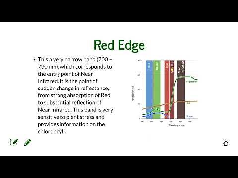 Multispectral Imagery Analysis