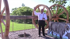 10K views · 216 reactions | One of the biggest challenges in clearing...