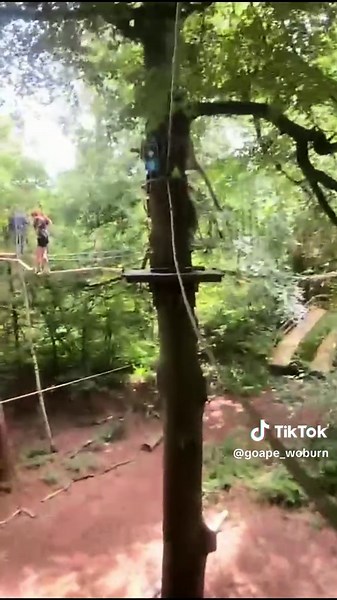 Experience Adventure at Go Ape Woburn and Black Park