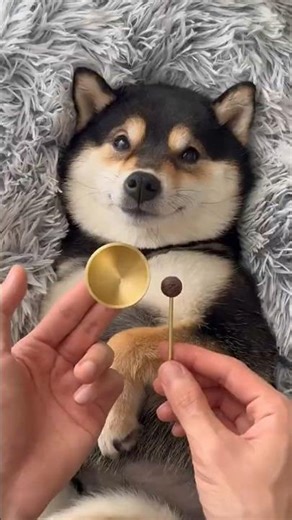 ASMR Tony’s Immersive Care SPA in Spring Part 1 Relax & Unwind