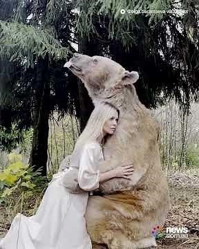 Grizzly bear likes to cuddle up to humans