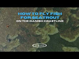 Sea Trout Fly Fishing on the Danish Coast | Local's Guide