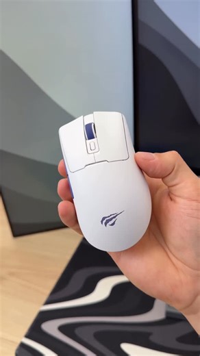 Leonardo Ferreira on Instagram: "Melhor mouse custo benefício! Havit MS966SE @havit_official @havit_brasil #havit #ms966se #blackfriday"