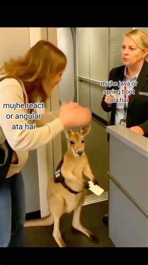 HTML CSS aata hai… Internship milegi? 😭 | #shorts #sorts #ai #coding #education #dsa #programming