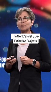 🐘🦤🐅 This is why our first three de-extinction projects are the mammoth, dodo, and Tasmanian tiger (Thylacine) | Colossal Biosciences