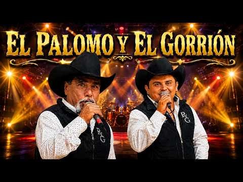 EL PALOMO Y EL GORRIÓN 🐦 Sus Mejores Éxitos | Corridos y Rancheras Inolvidables