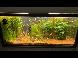 Änderungen am 800l Aquarium | Eure Vorschläge!