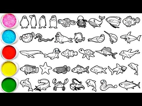 Draw 36 Amazing Sea Animals in Minutes - Penguins, Sea Turtle, Jellyfish, Blue Whale & others