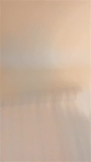 373K views · 47K reactions | Food Fight  #comedy #thanksgiving | Thomas Sanders | Facebook