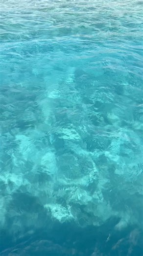 244K views · 3.4K reactions | Recharging at The Wave  | England Rugby | Facebook