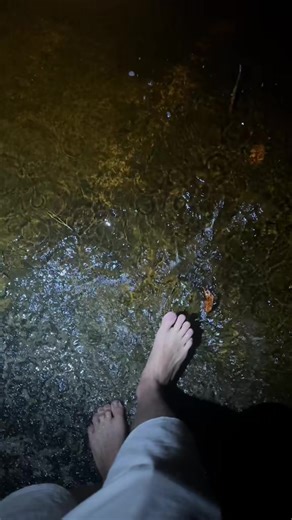 31K views · 709 reactions | Not giving up until I find a 20 foot Burmese python in the Florida Everglades! #animal #animals #nature #pet #cute #wildlife #love #dog #pets #photography #cat #cats #naturephotography #instagram #photooftheday #dogs #animallovers #instagood #wildlifephotography #art #animalphotography #of #dogsofinstagram #petstagram #bird #catsofinstagram #puppy #birds #animalsofinstagram #petsofinstagram | Garrett Galvin | Facebook