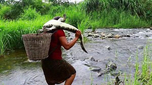 Primitive In forest one - woman Catch the duck Catching crocodile - cook duck Eating delicious | Galvin Planet
