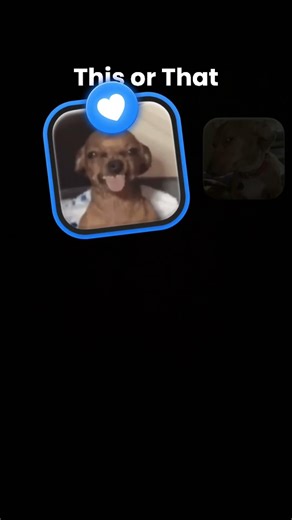 No auto clicker trust