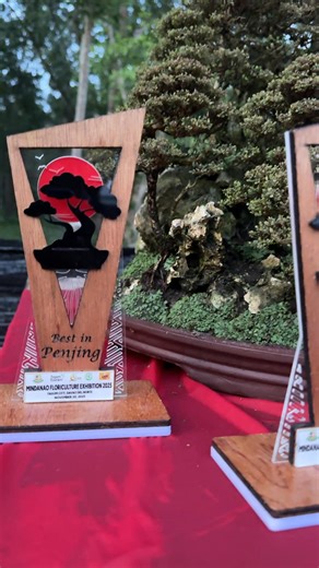 Penjing (盆景) is the Chinese art of miniature landscapes, and it is the origin of bonsai. Unlike bonsai, which usually focuses on a single tree, penjing tells a complete scene or story—nature in miniature. 🌿 Penjing is not just a tree, but a living landscape with a story. 💚 #bonsai #gardening #fblifestyle #BonsaiLife #bonsaiart | Mr.Greenthumb