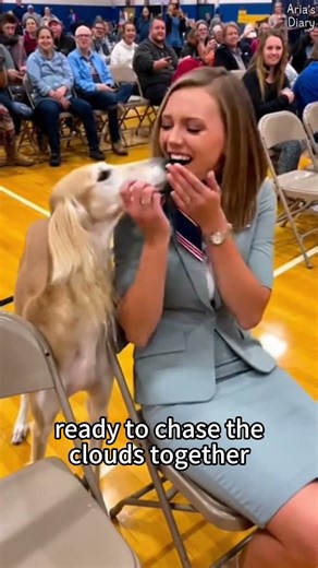 When Dogs Find Their Soulmates 🐶✨