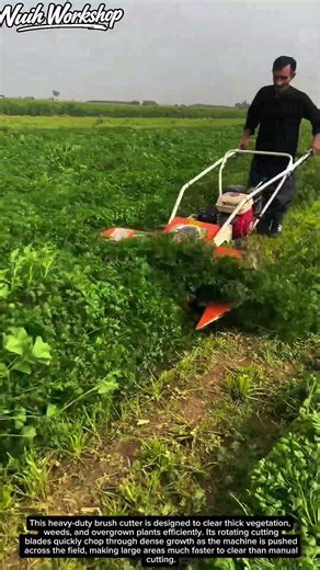 This Powerful Brush Cutter Clears Thick Vegetation FAST! 🌿⚙️