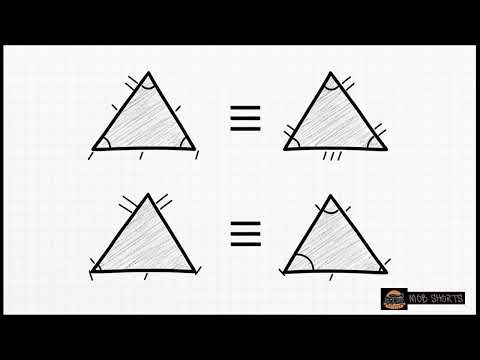 Triangles | Grade 12 Maths CAPS