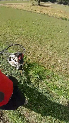 Japanese lawnmowers for steep slopes