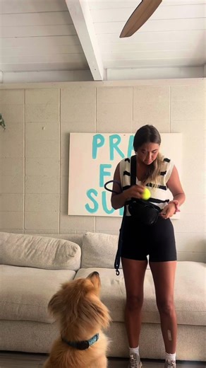 Tito's Best Day Ever at the Beach with Freshpet