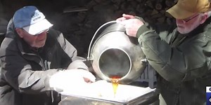 Wisconsin Adventures: Brillion Nature Center