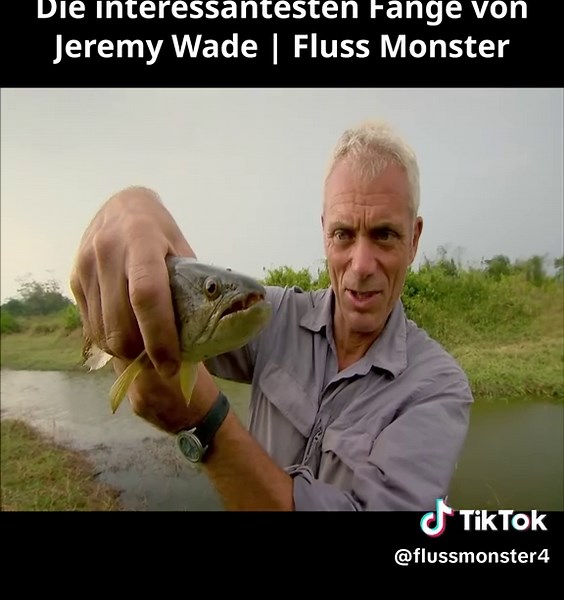 Die interessantesten Fänge von Jeremy Wade | Fluss Monster #01