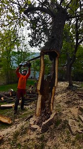 396K views · 1.6K reactions | Only a master logger can do this | Ristorante pizzeria trattoria Celestino | Facebook