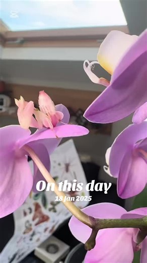 #onthisday