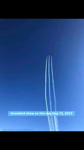 4.3K views · 70 reactions | #snowbirds #airshow #comox #vancouverisland #britishcolumbia #canada | Comox Valley Wildlife Sightings | Facebook