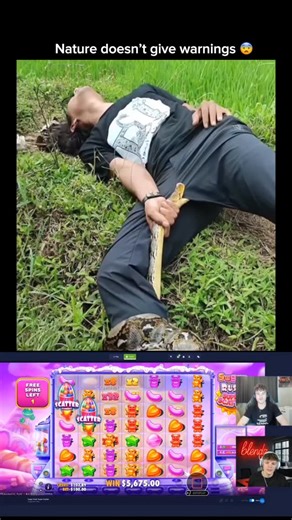 Feral Nature X on Instagram: "The 15-second clip shows a shocking and extremely rare incident in which a man is seen lying on grass after being attacked by a python. The snake is tightly coiled around his leg and has bitten a highly sensitive area, causing obvious pain and panic. The man desperately grips the python’s head to stop it from inflicting more harm, turning the moment into a terrifying fight for survival. Although pythons are non-venomous, they rely on powerful constriction and a stro