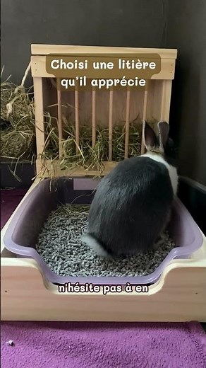 Aménager l'espace litière d'un lapin
