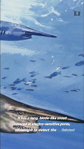 The Shark That Can Launch Its Jaw Forward!