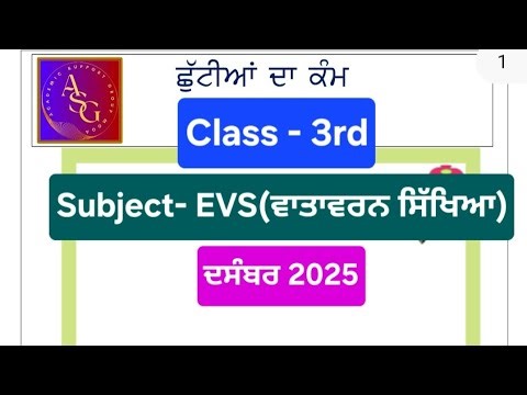 3rd Class EVS (ਵਾਤਾਵਰਨ ਸਿੱਖਿਆ ) Holidays Homework l pseb class 3 holidays homework december 2025