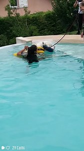 ÉMOUVANT : IL FAUT SAUVER SKY, LE CHIEN PYRÉNÉEN... Sky est âgé de 18 mois et est atteint du syndrome de Wobbler. L'association les Amis des Bêtes est à la fois un refuge pour les animaux abandonnés et une fourrière pour ceux qui ont été récupérés sur la commune d'Aix-les-Bains (Savoie-France). Elle dispose de 25 box qui lui permettent d'accueillir environ 55 chiens. Affiliée à la Confédération Nationale de la Défense de l'Animal, l'association d'Aix-les-Bains ne pratique pas l'euthanasie. Anne 